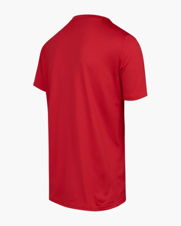 Cruyff Training Shirt Senior Cheap