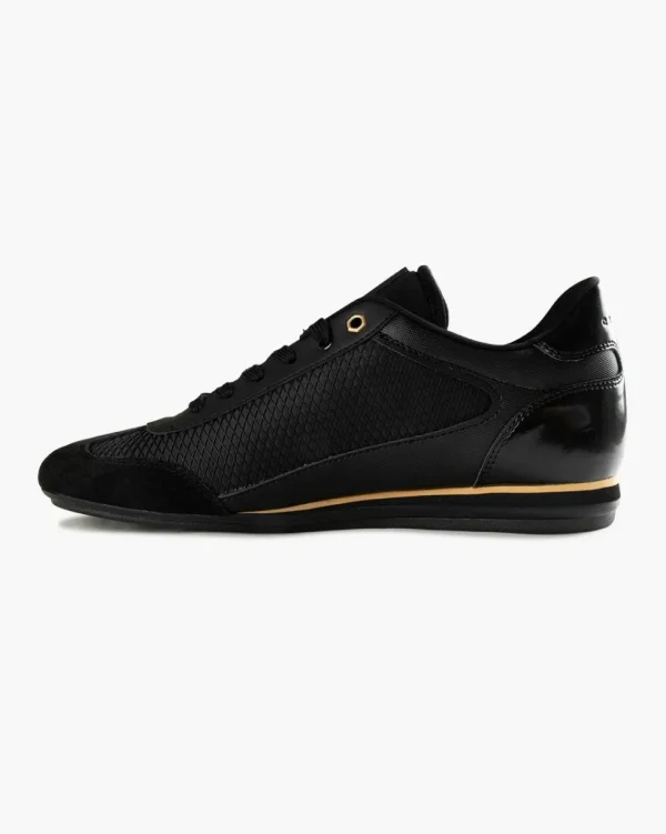 Cruyff Vanenburg Sale